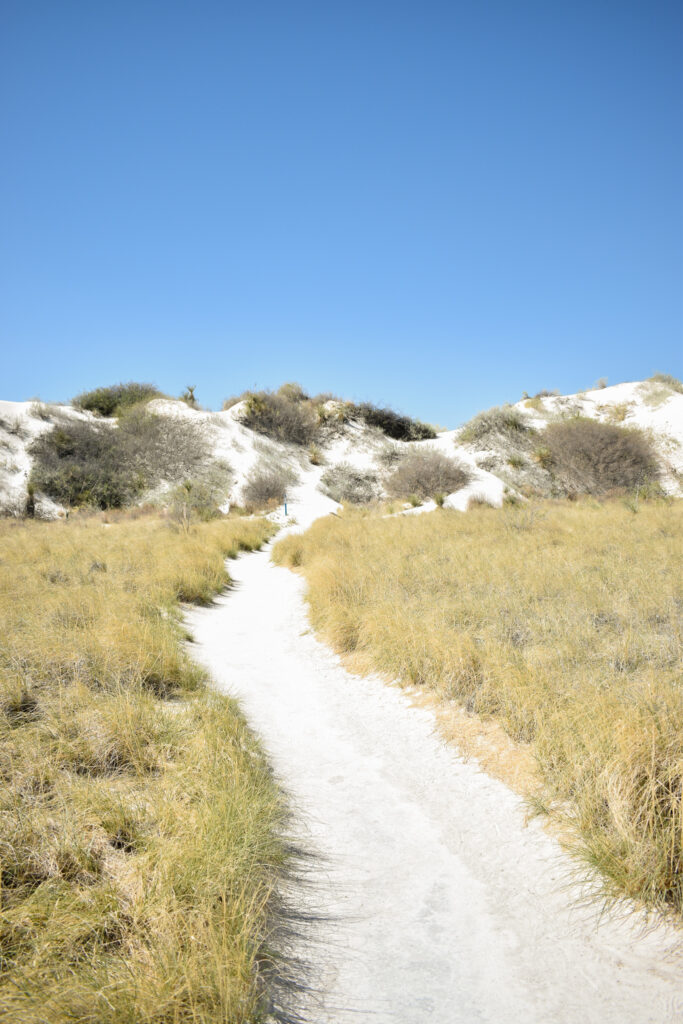 The Ultimate New Mexico National Parks Road Trip White Sands National Park