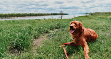 24 Hours in Cross Ranch State Park | KAT TELLS ALL