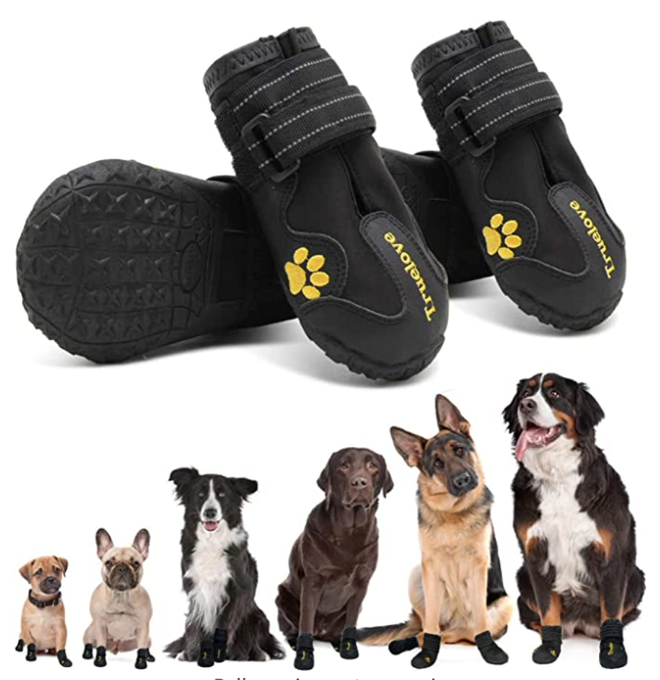 6 of my favorite amazon dog items winter booties