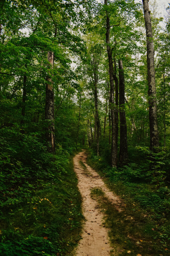 5 great reasons to stay at Northwoods a-frame Itasca State Park