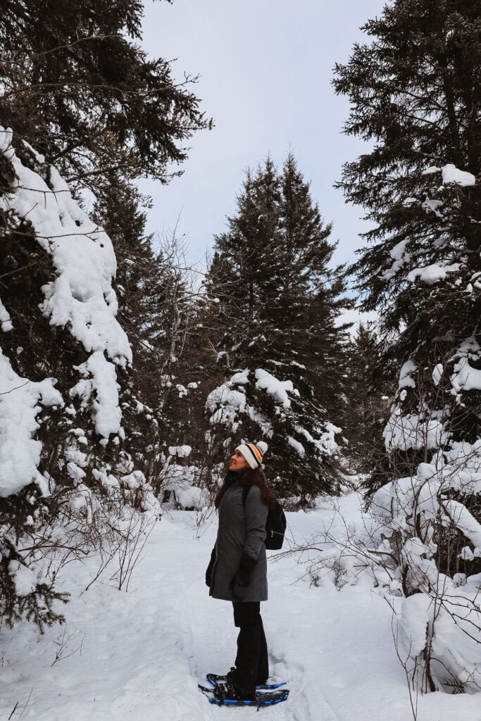 riding mountain national park