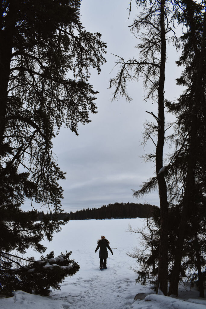 riding mountain national park