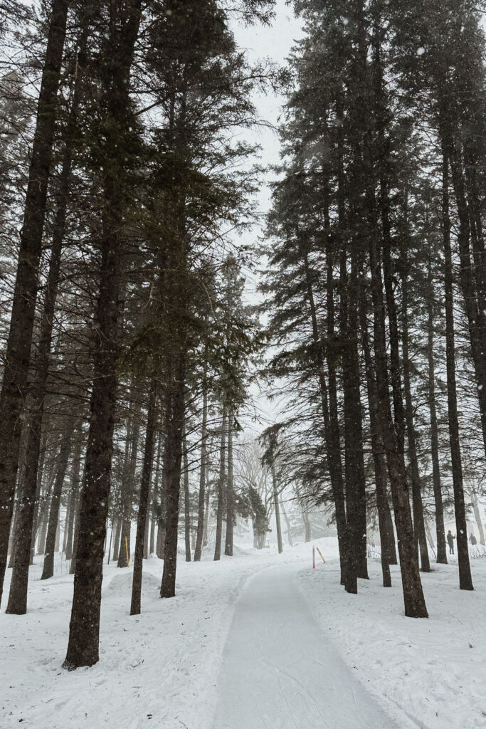 riding mountain national park