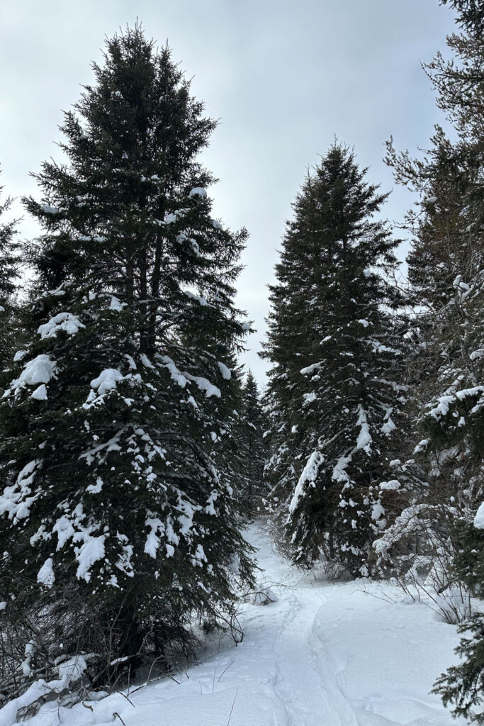 riding mountain national park