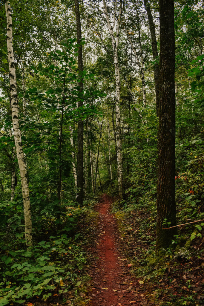 hiking in Cuyuna Country State Recreation Area